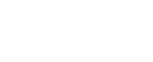 Fast Track
